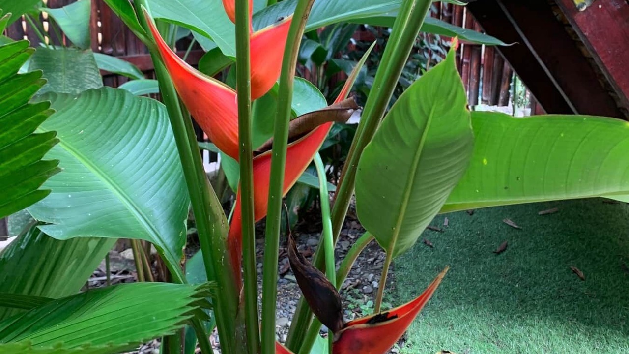 Photo of Outdoor in Chiguata