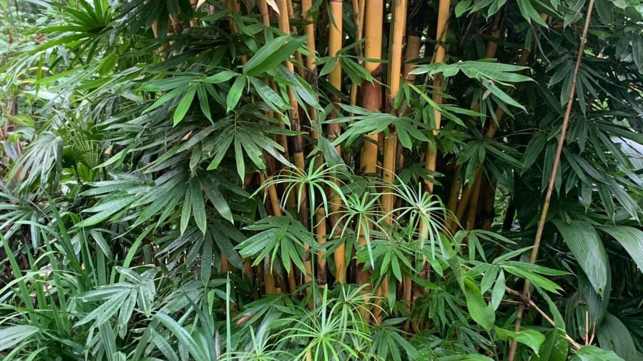 Photo of Outdoor in Chiguata