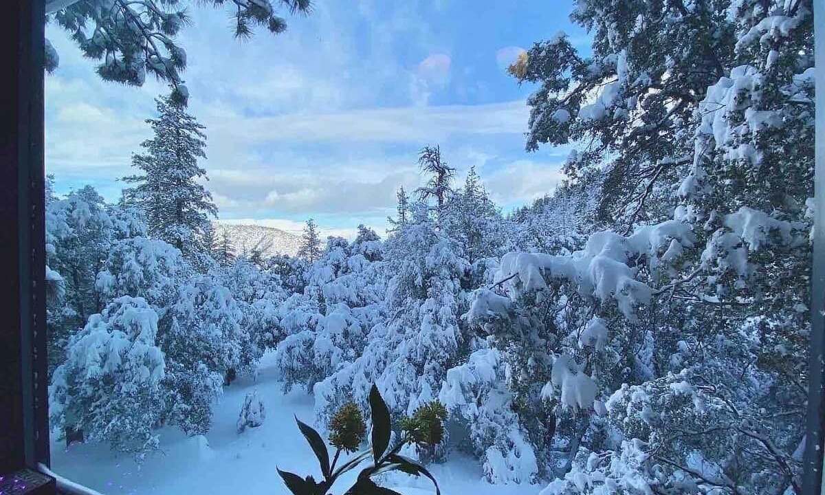 Photo of Others in Pine Mountain Club