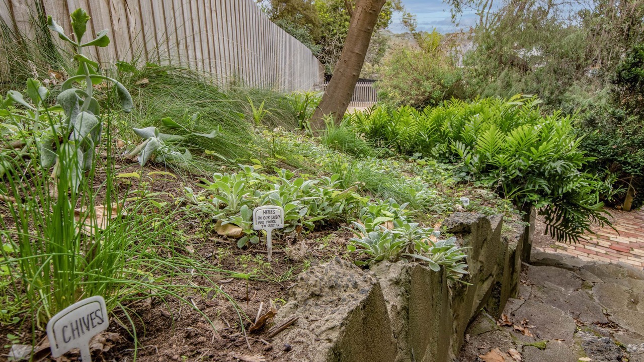 Photo of Outdoor in Rye
