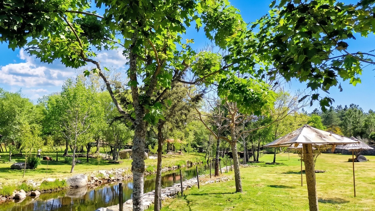 Photo of Outdoor in Moimenta da Beira