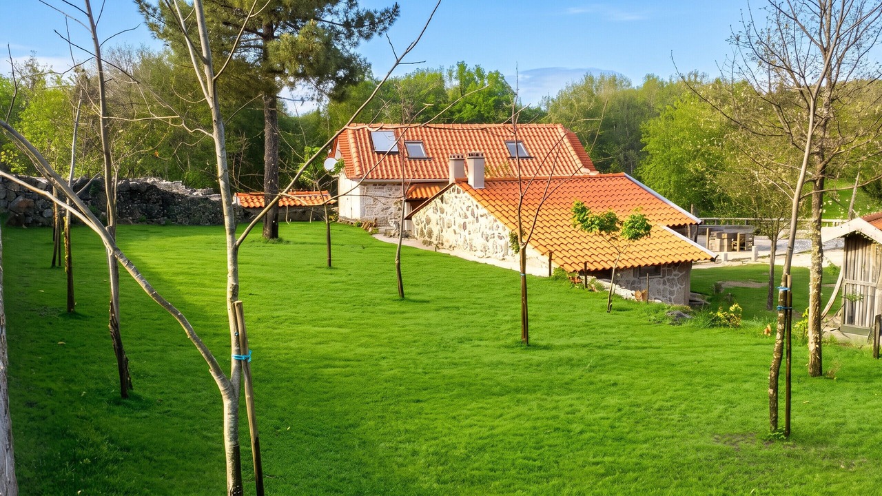 Photo of Others in Moimenta da Beira