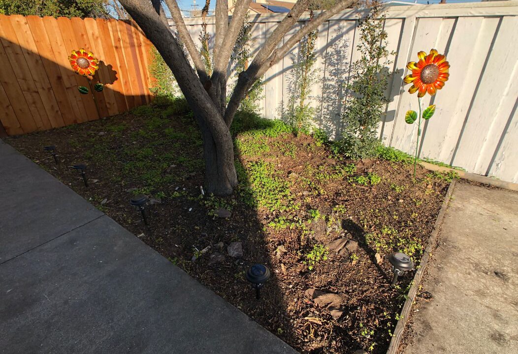 Photo of Outdoor in East San Mateo