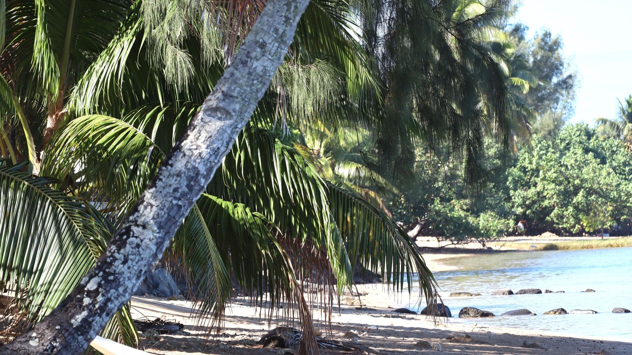 Photo of Others in Paea