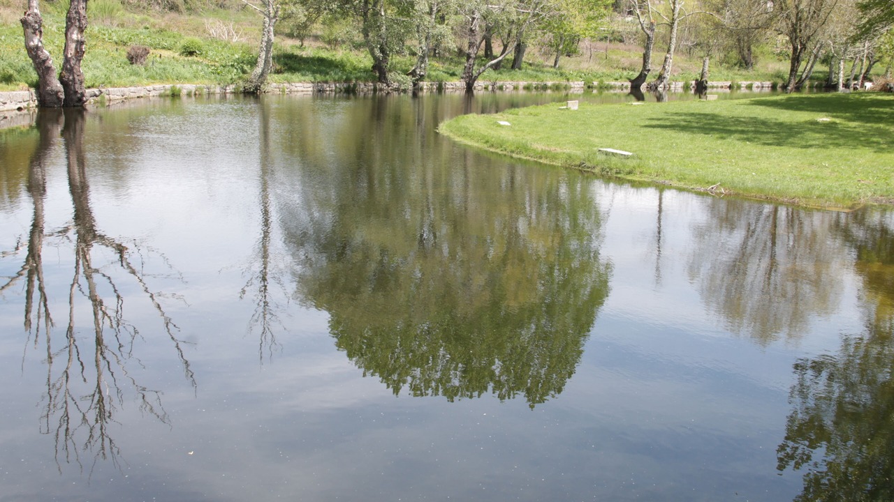 Photo of Outdoor in Vila Nova de Paiva