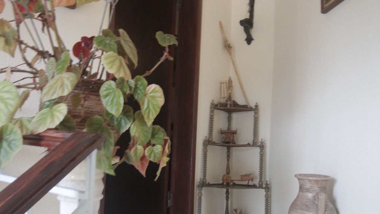 Photo of Others in Vila Nova de Paiva
