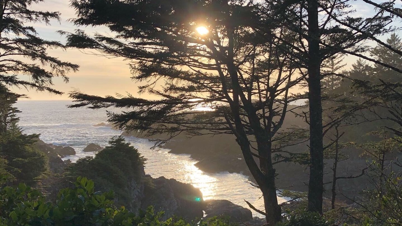 Photo of Outdoor in Ucluelet