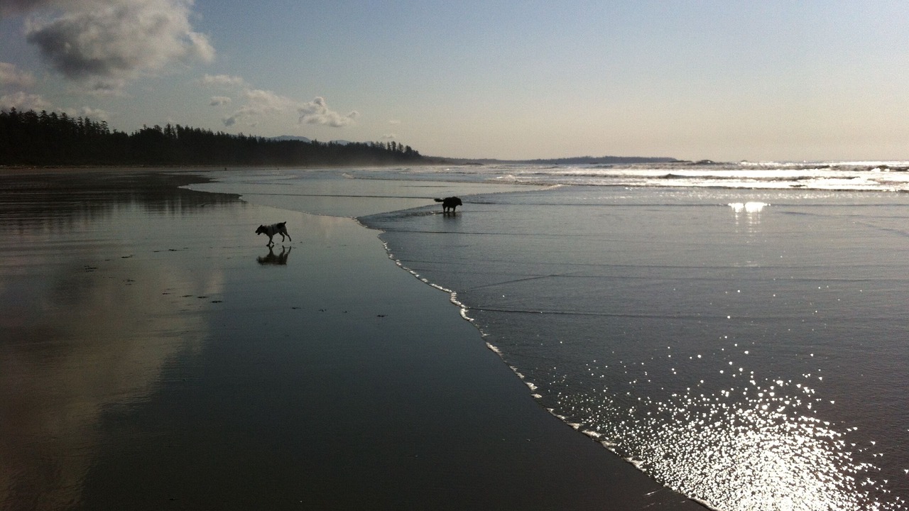 Photo of Others in Ucluelet