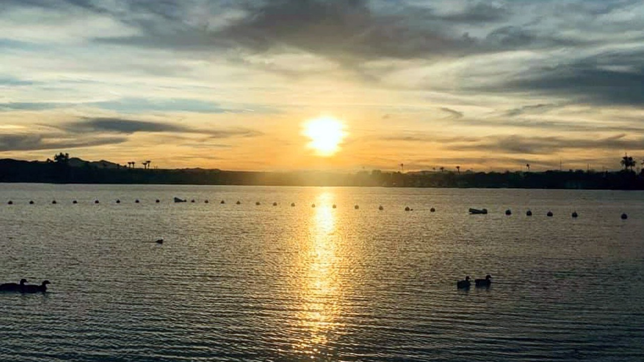Photo of Others in Lake Havasu City