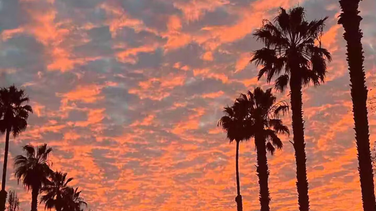 Photo of Others in Carpinteria