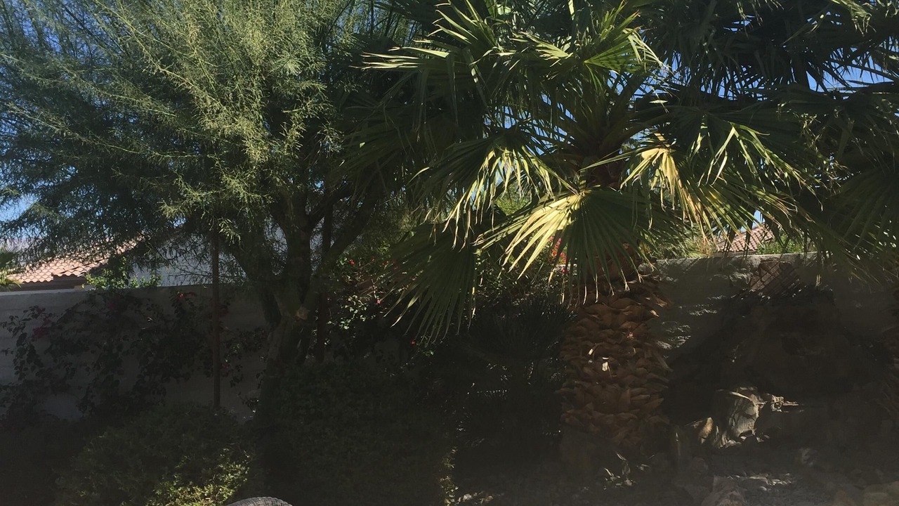 Photo of Patio Balcony in Indio
