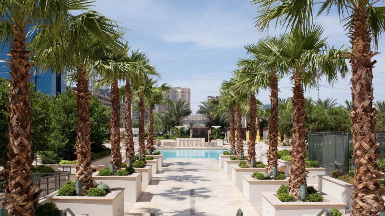 Photo of Outdoor in Las Vegas