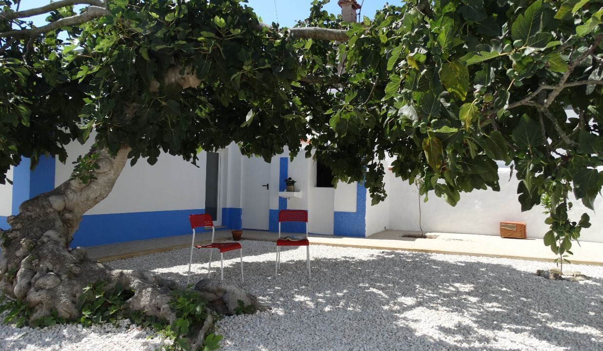 Photo of Outdoor in Maceira