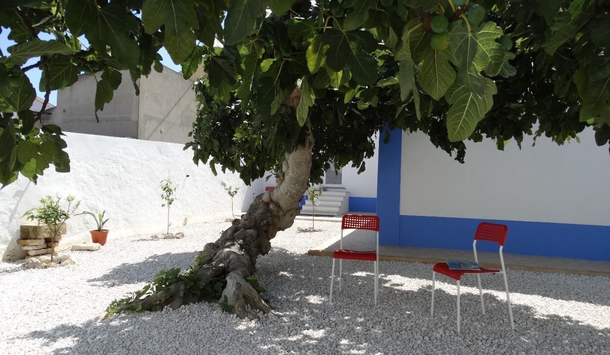 Photo of Patio Balcony in Maceira