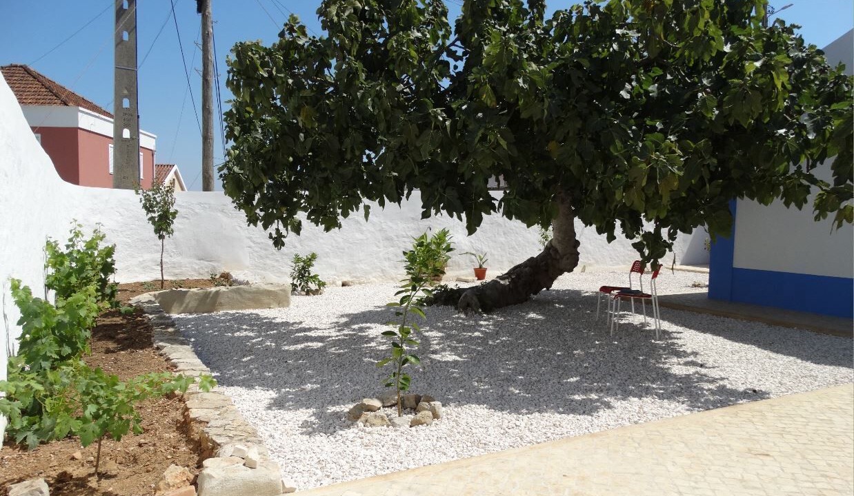 Photo of Outdoor in Maceira