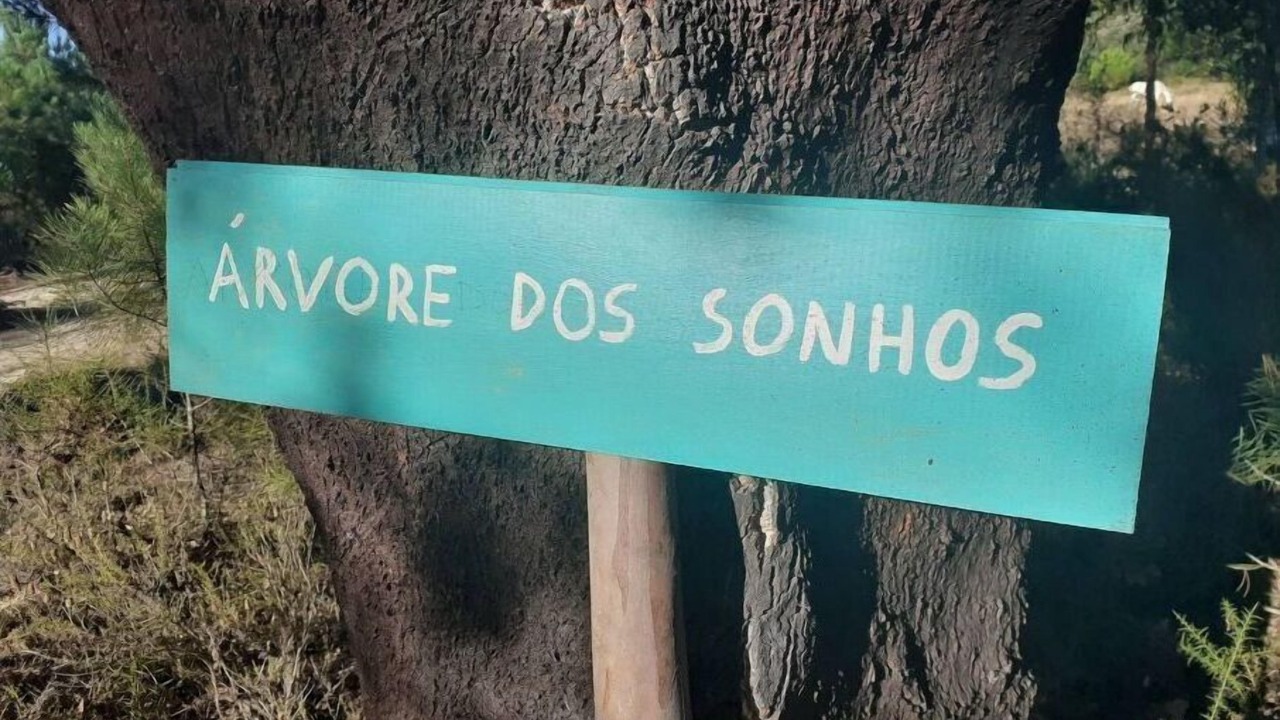 Photo of Outdoor in Vale de Mulheres