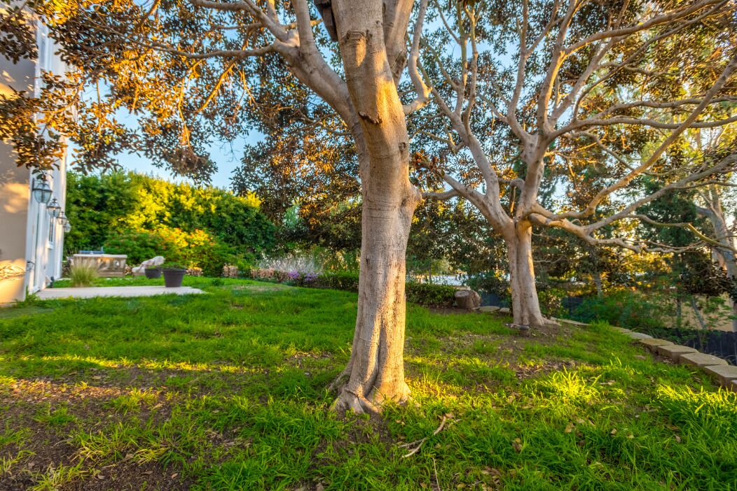 Photo of Outdoor in Central Malibu