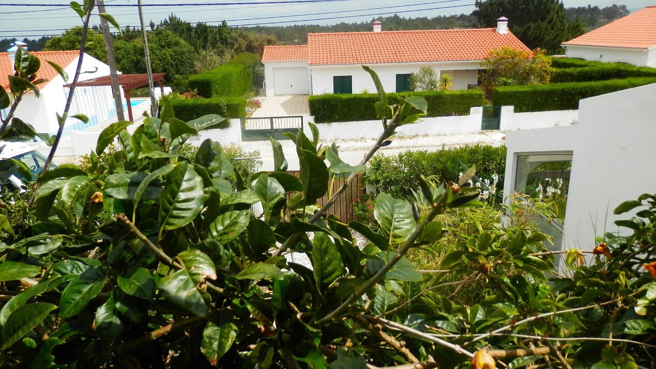 Photo of Outdoor in Aljezur