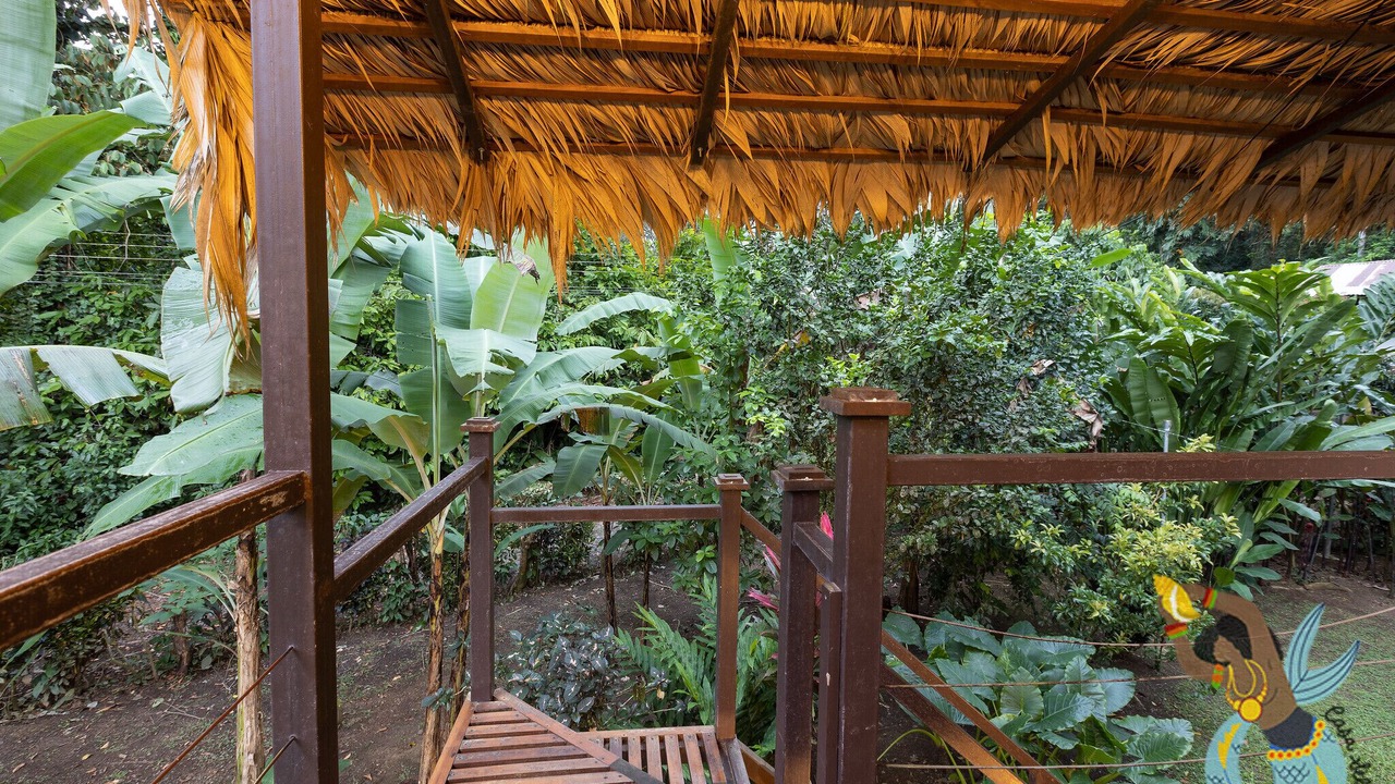 Photo of Outdoor in Puerto Viejo de Talamanca