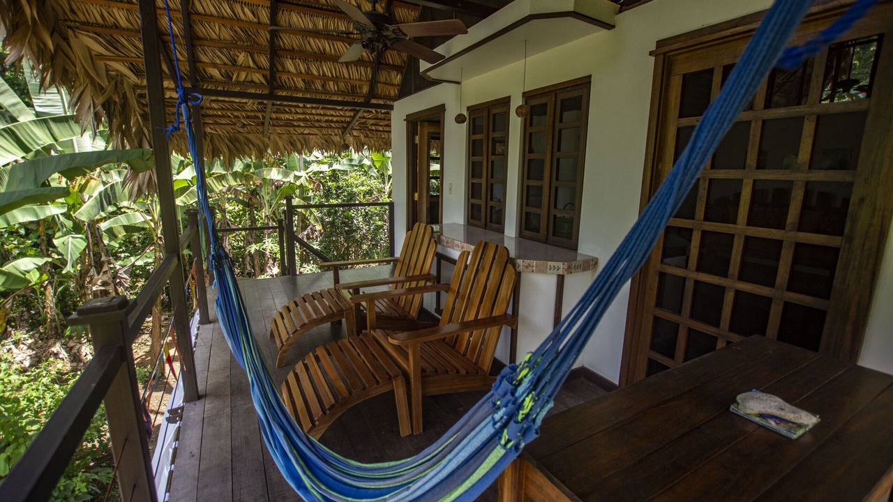 Photo of Others in Puerto Viejo de Talamanca