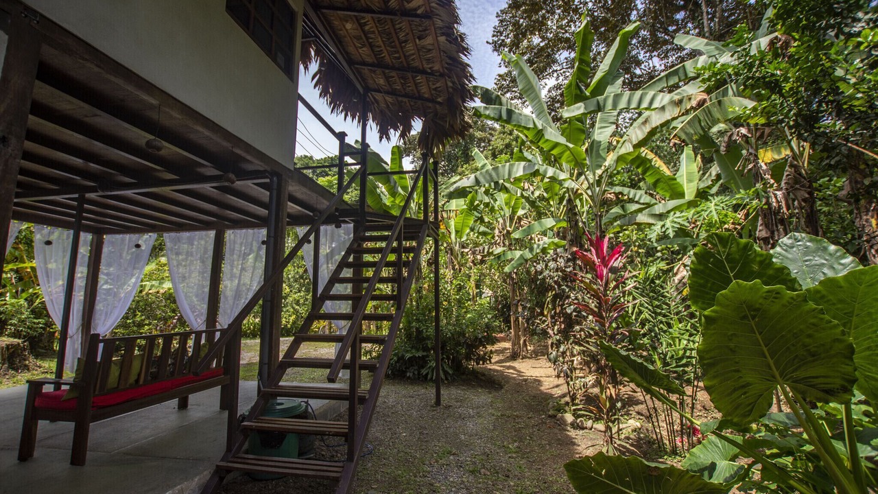 Photo of Others in Puerto Viejo de Talamanca