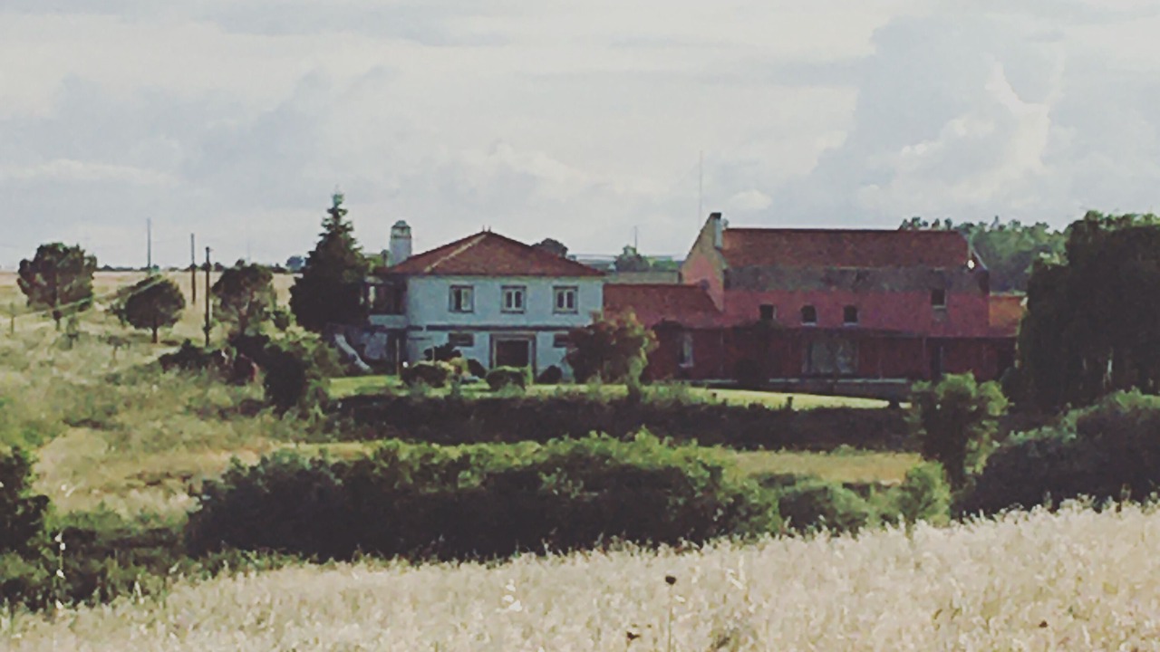 Photo of Outdoor in Idanha-a-Nova