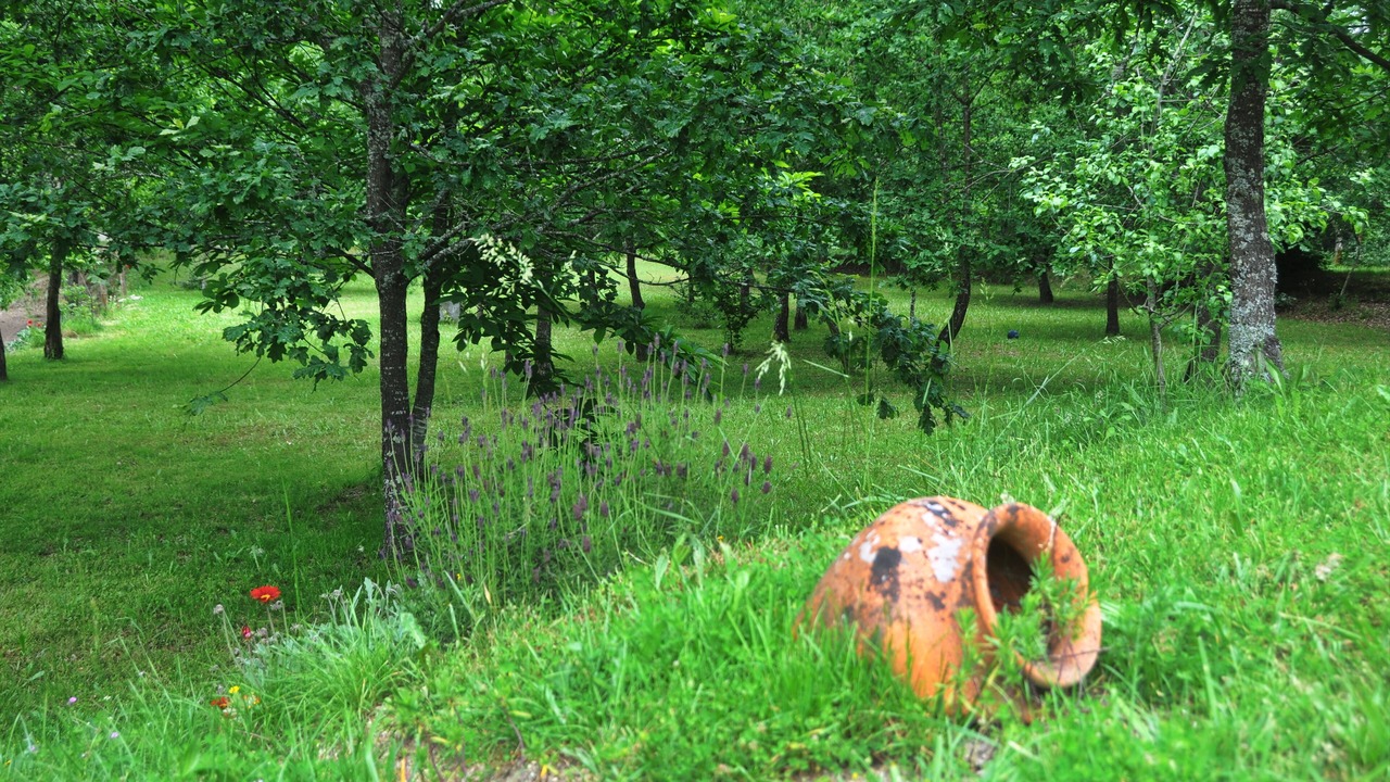 Photo of Outdoor in Santa Comba Dao