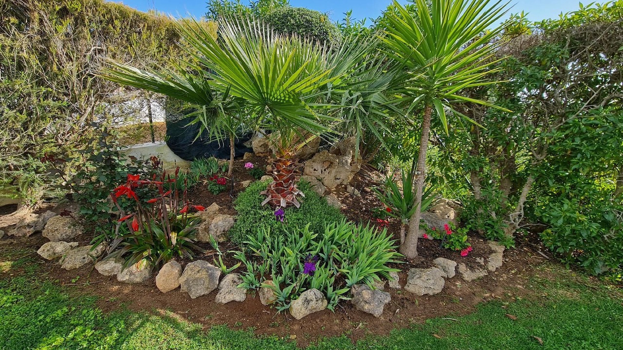 Photo of Outdoor in Alfarrobeira