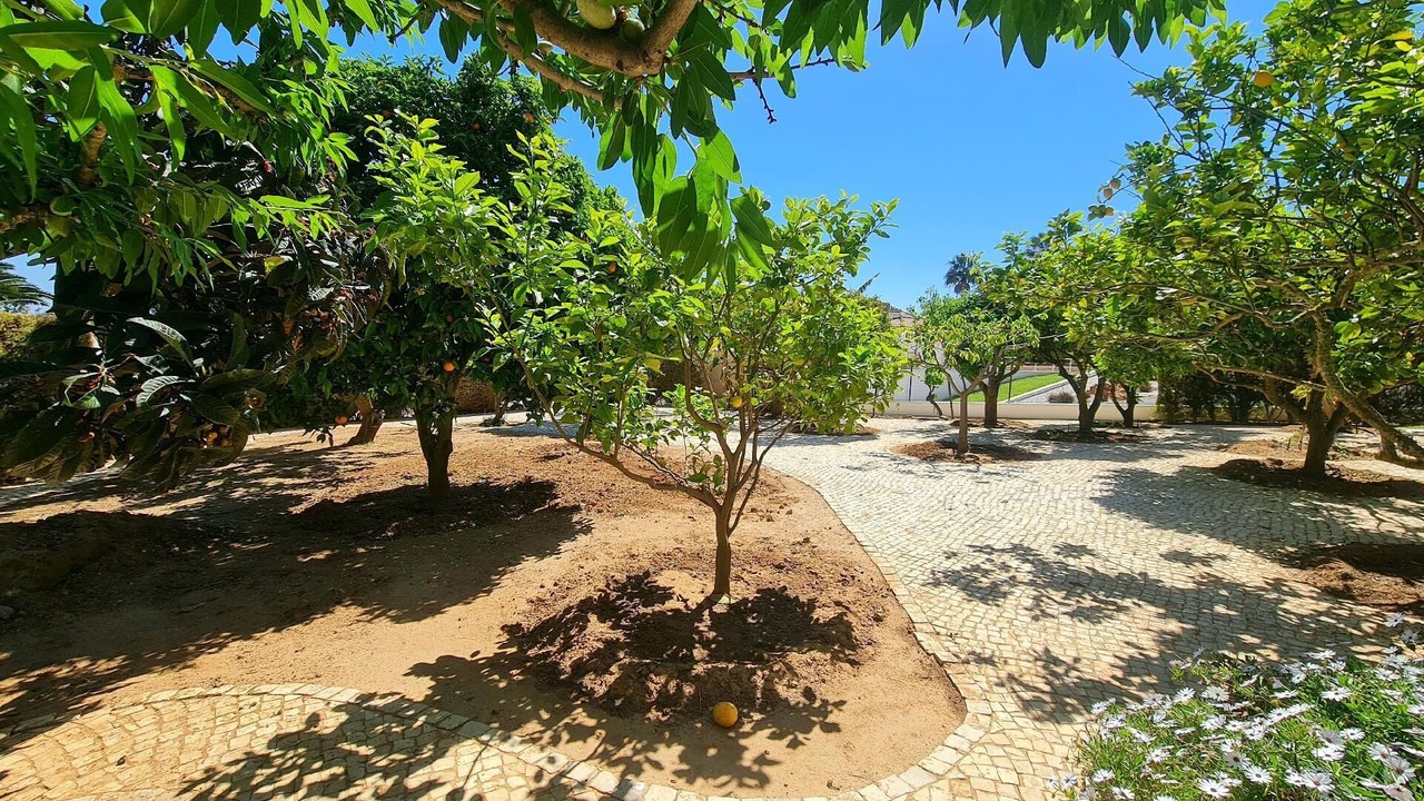 Photo of Outdoor in Alfarrobeira