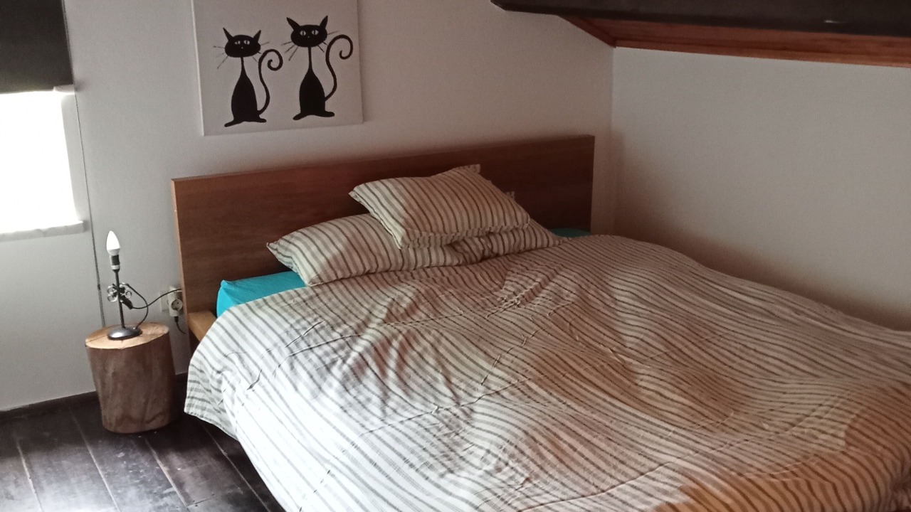 Photo of Bedroom in Santiago