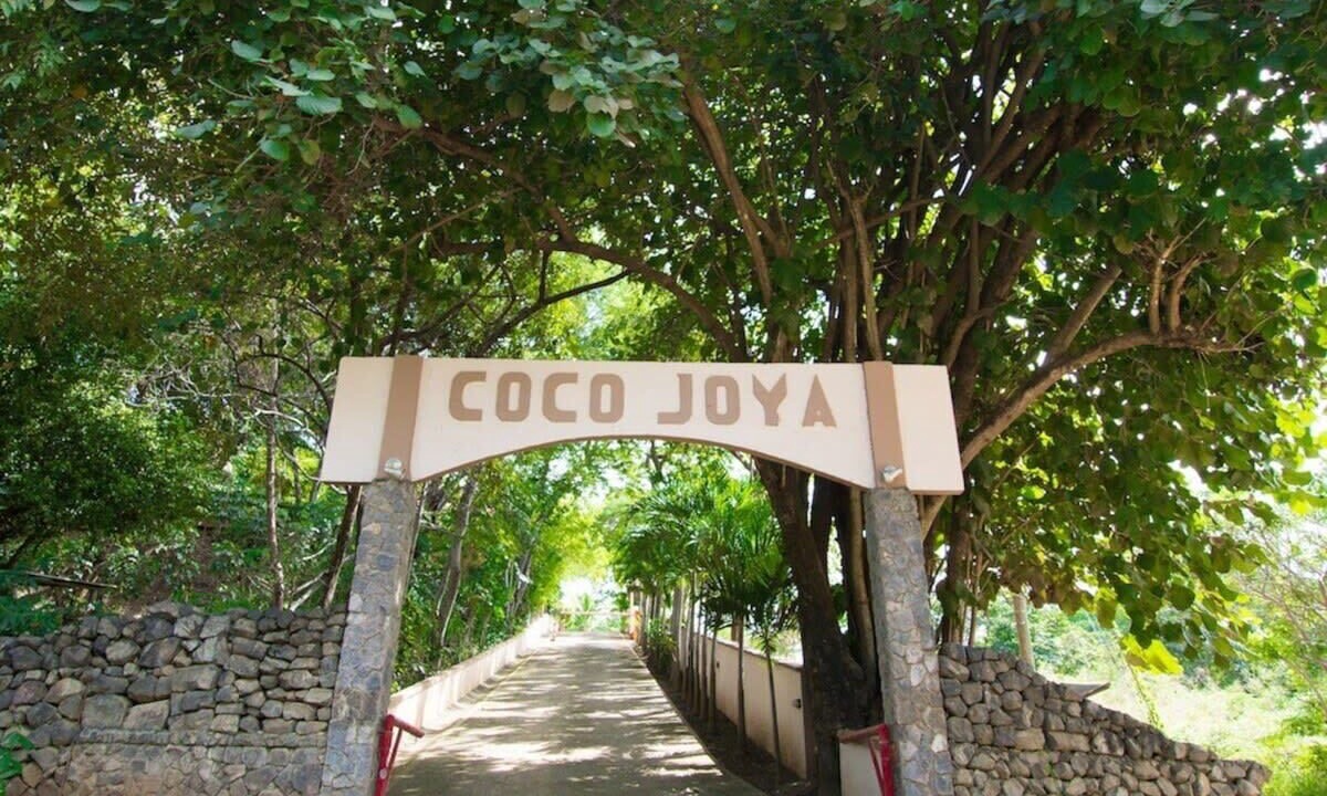 Photo of Others in Coco