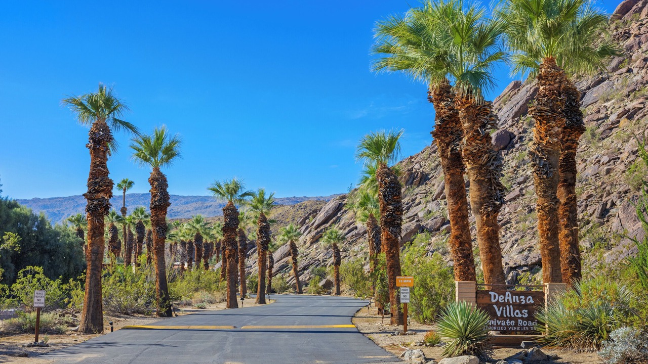 Photo of Others in Borrego Springs