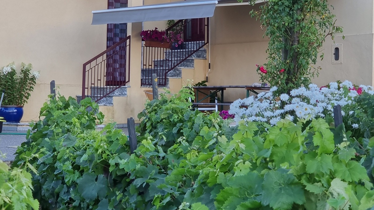 Photo of Outdoor in Tarouca