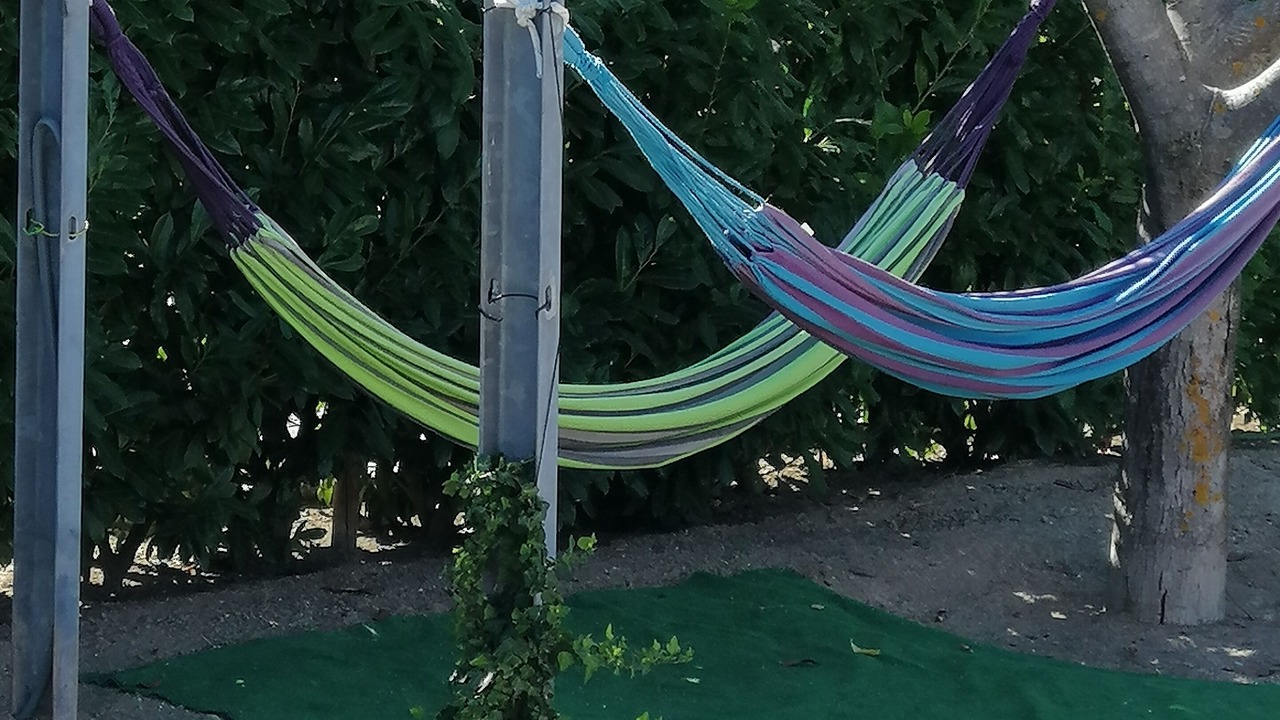 Photo of Outdoor in Tarouca