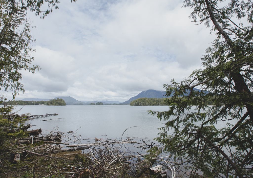 Photo of Others in Tofino