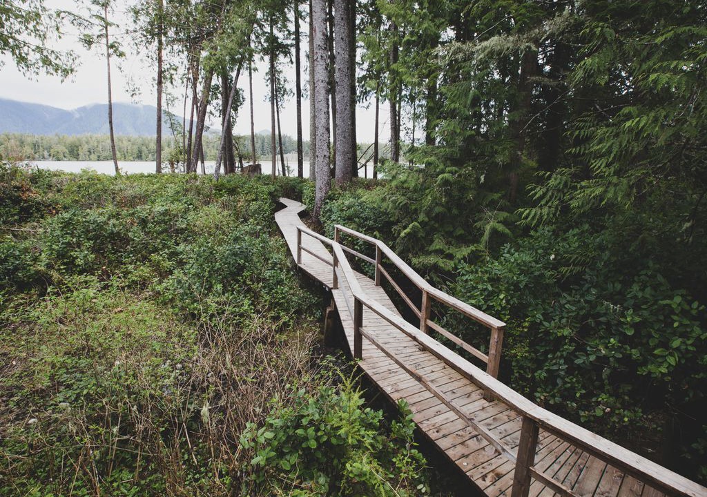 Photo of Outdoor in Tofino