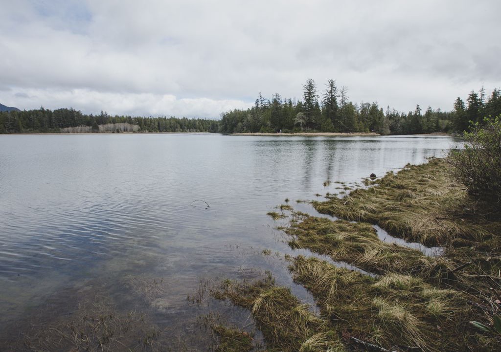 Photo of Others in Tofino
