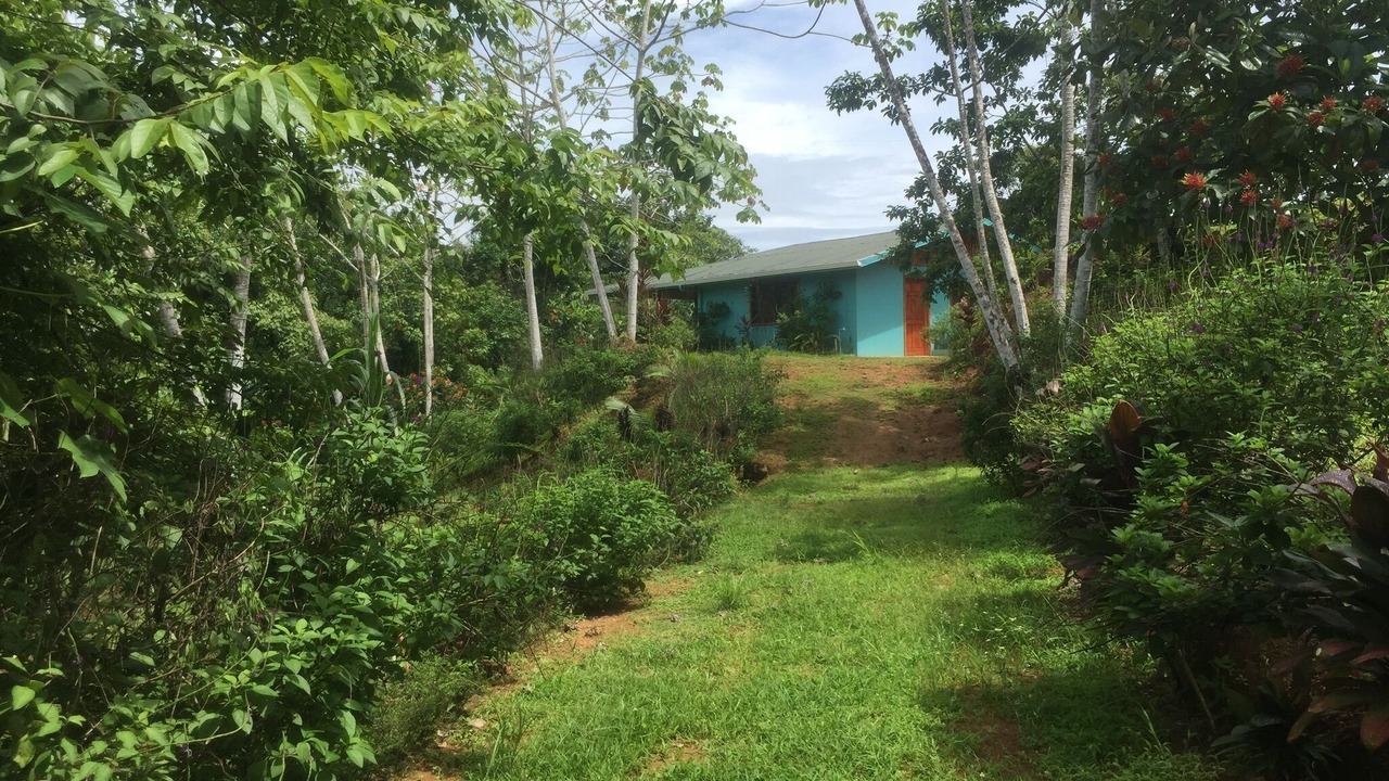 Photo of Outdoor in Drake Bay