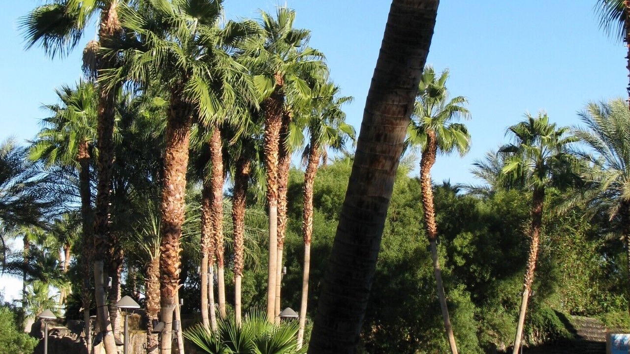 Photo of Outdoor in Las Vegas