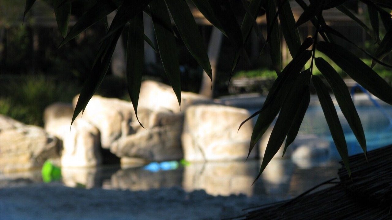 Photo of Outdoor in Las Vegas