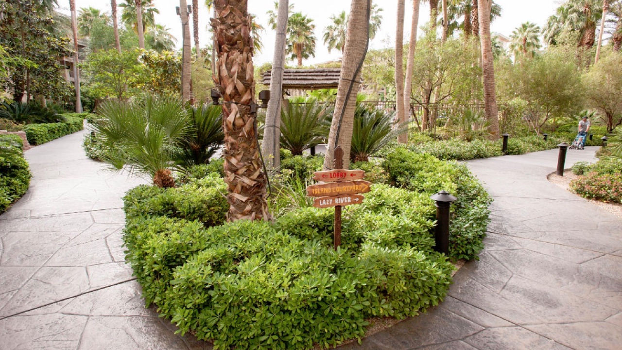 Photo of Outdoor in Las Vegas