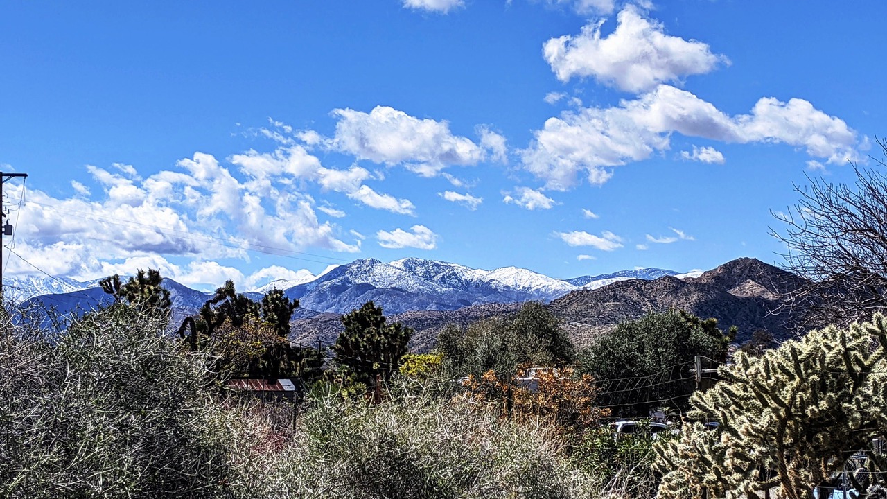 Photo of Others in Yucca Valley