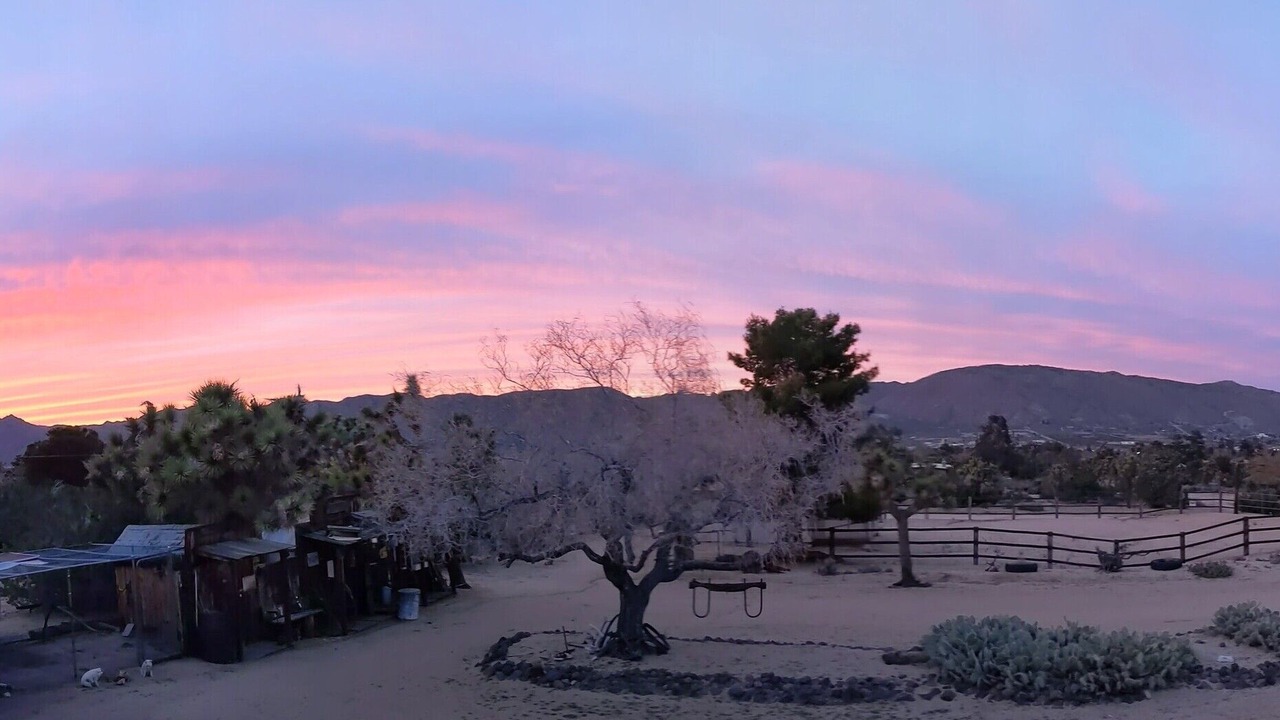 Photo of Others in Yucca Valley