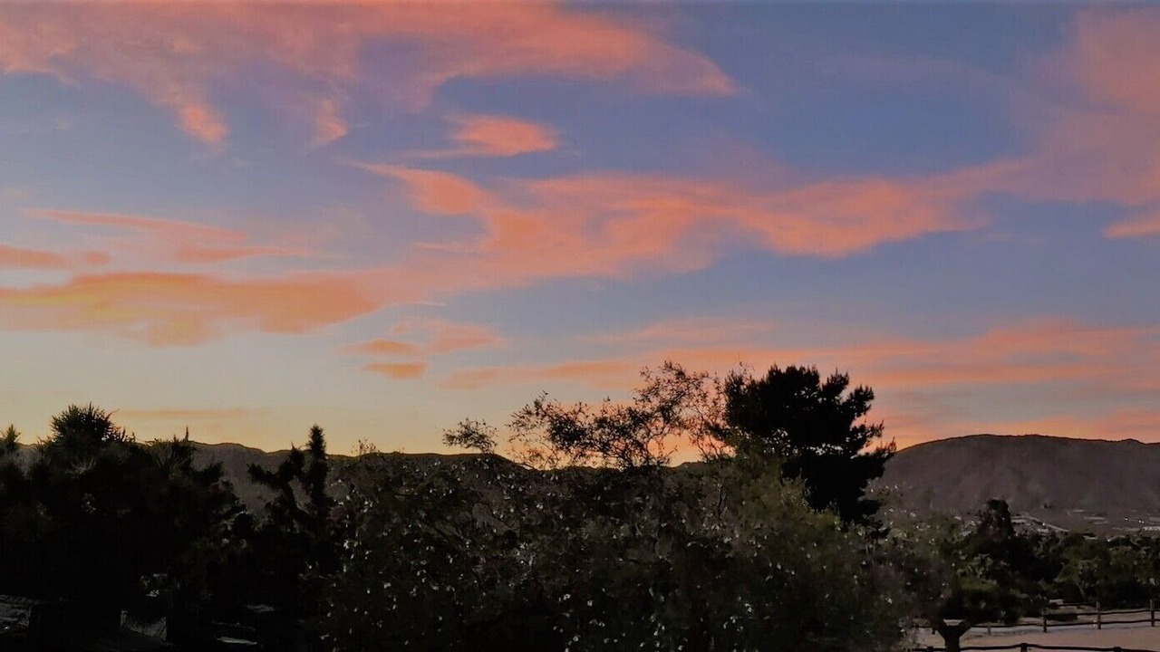 Photo of Others in Yucca Valley