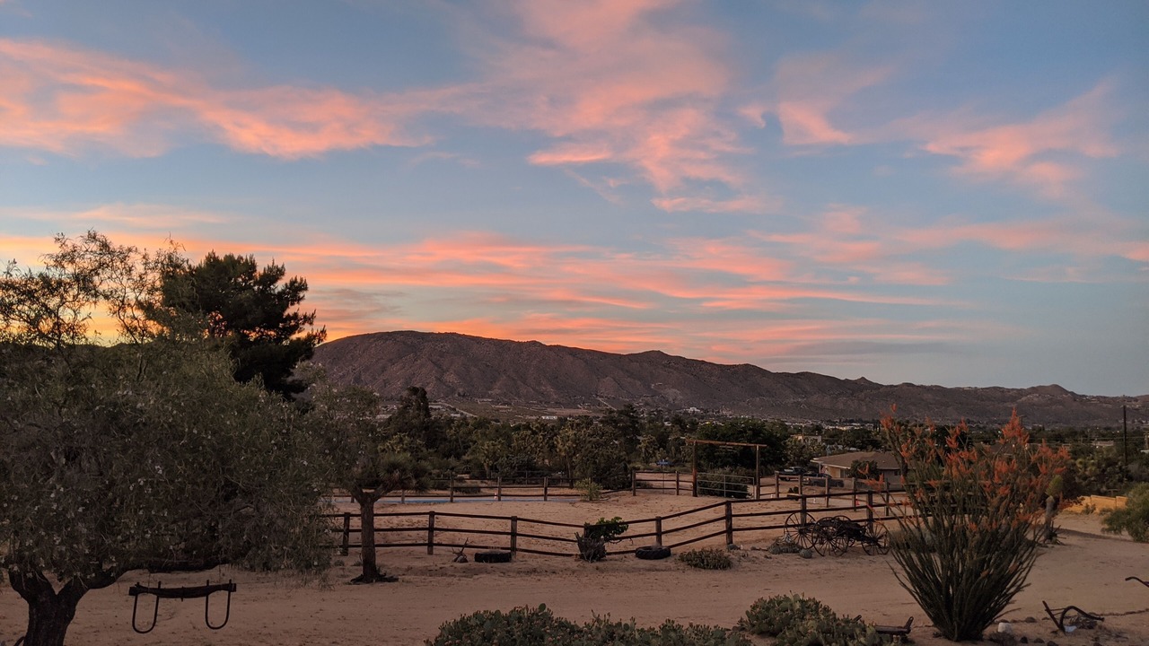 Photo of Others in Yucca Valley