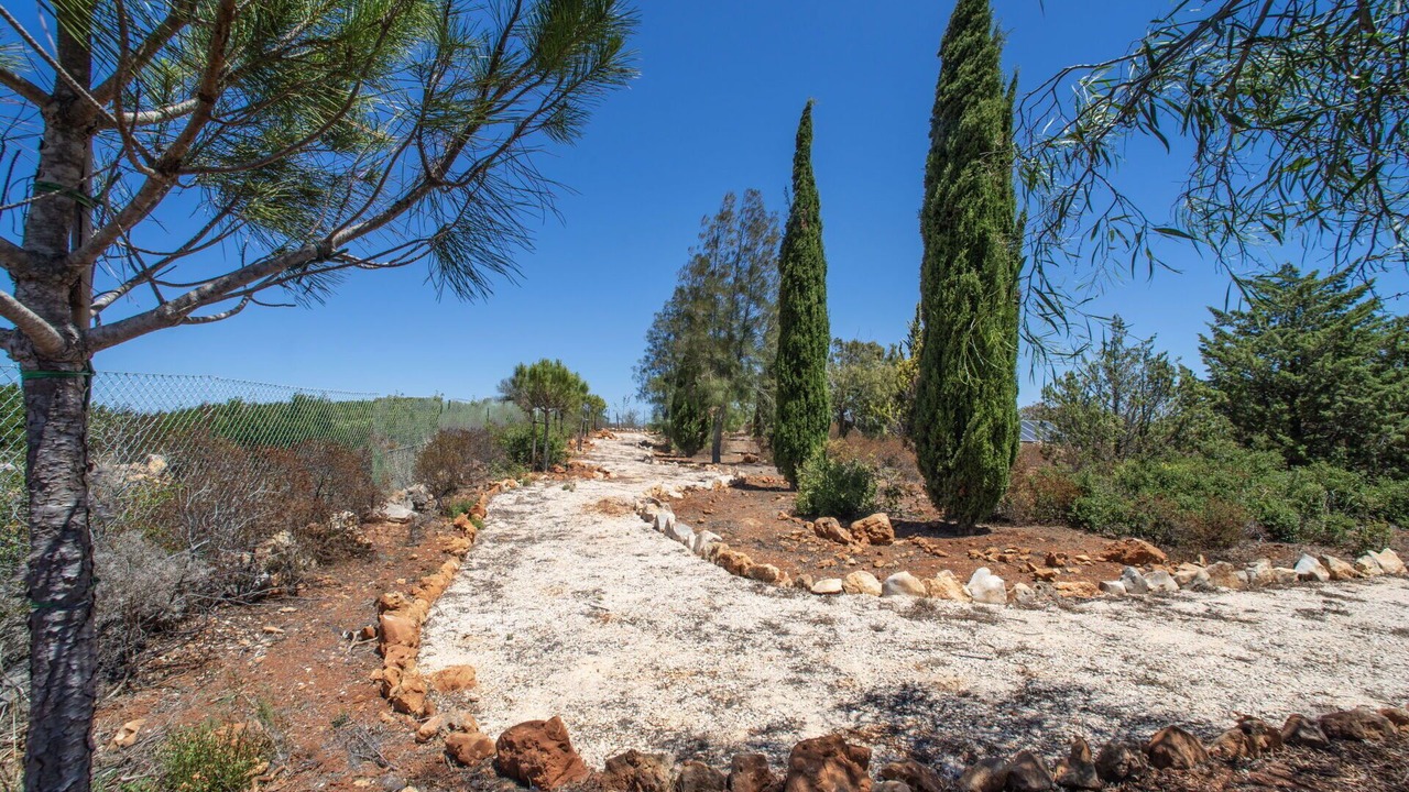 Photo of Others in Sargacal