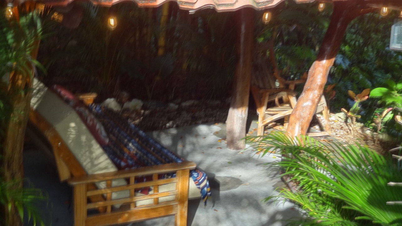 Photo of Outdoor in Nosara