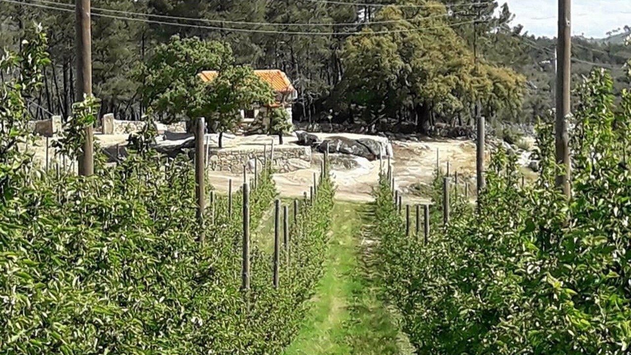 Photo of Outdoor in Tabuaco