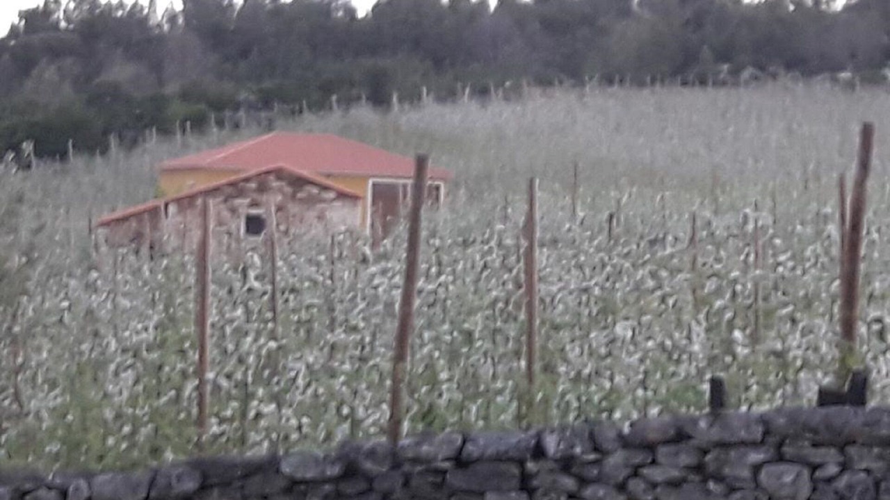 Photo of Others in Tabuaco