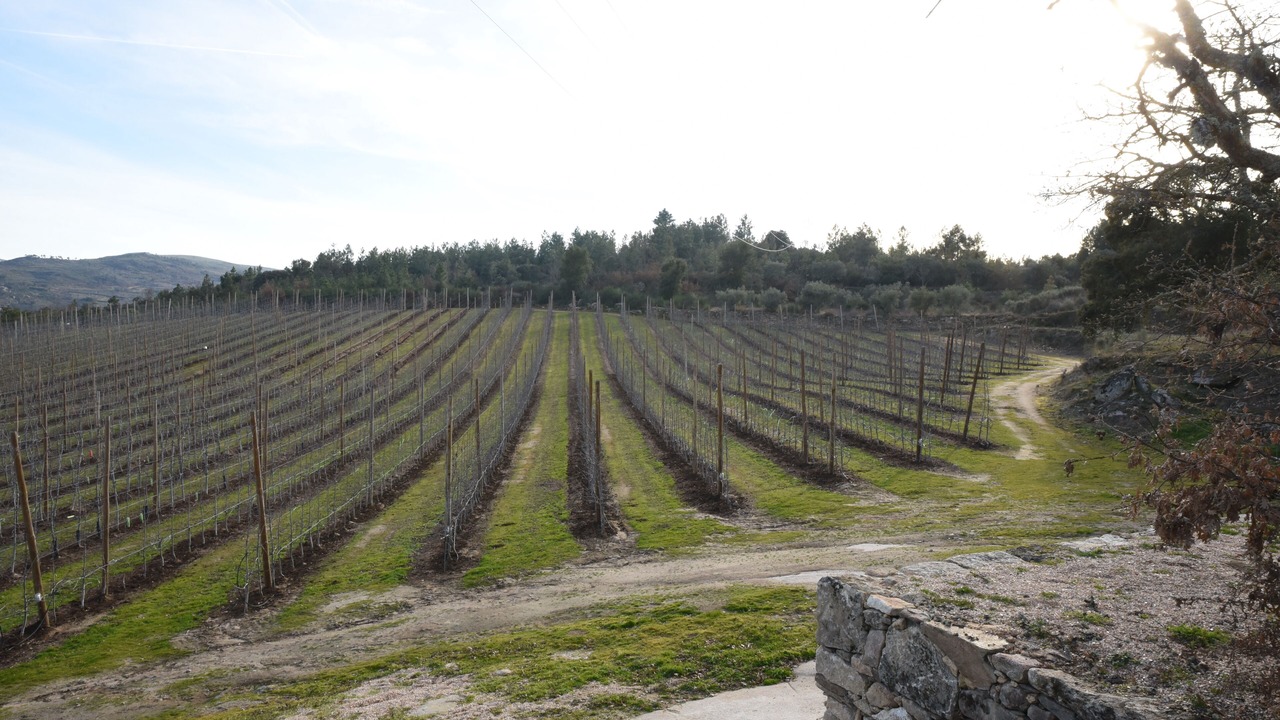 Photo of Outdoor in Tabuaco